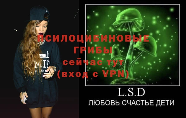 эйфоретик Осинники